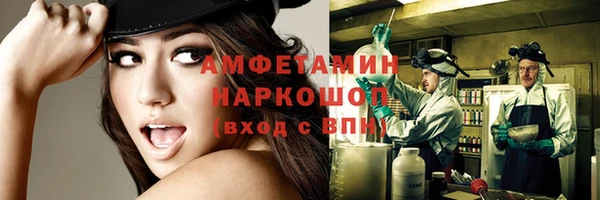 прущие грибы Вязники
