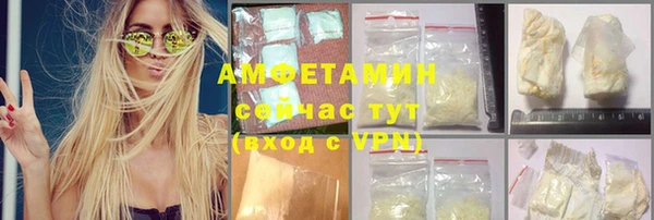 прущие грибы Вязники