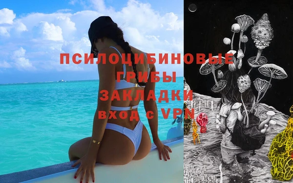 прущие грибы Вязники
