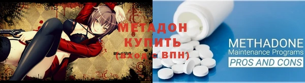 прущие грибы Вязники