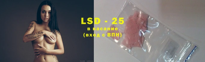 прущие грибы Вязники