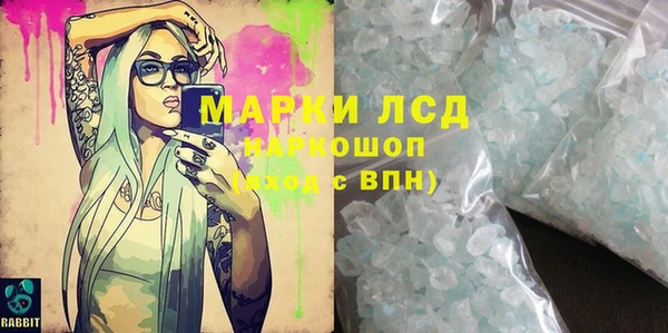 прущие грибы Вязники