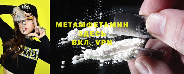 прущие грибы Вязники