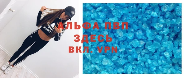 прущие грибы Вязники